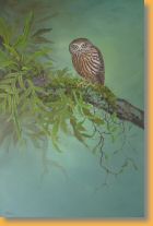 NZ Morepork Owl by Janet Marshall 95H x 60Wcms acrylic on canvas.jpg
